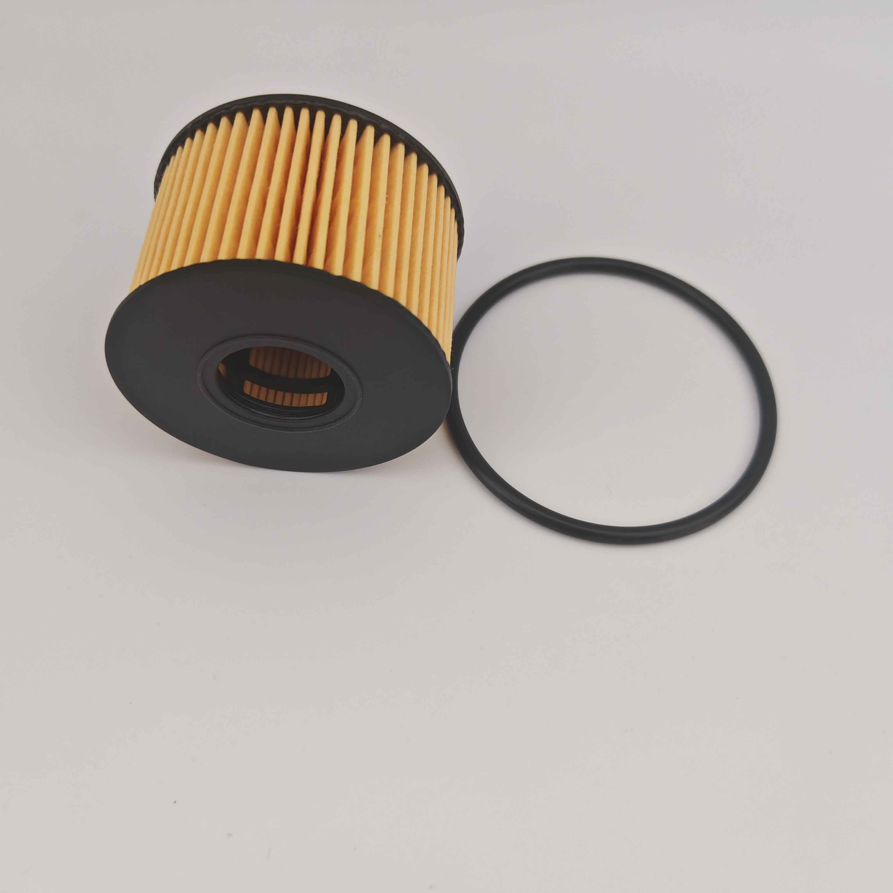 MS1-6744-AA OX1243D FOH5013 Oil Filter for JMC MS1-6744-AA OX1243D FOH5013 Oil Filter for JMC